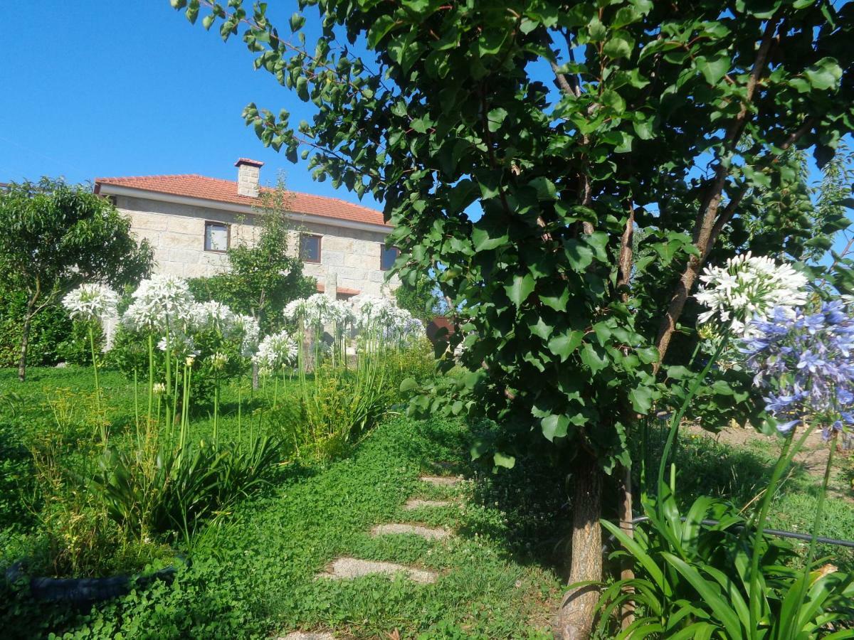 Bernardes House ξενώνας Castelo de Paiva Εξωτερικό φωτογραφία