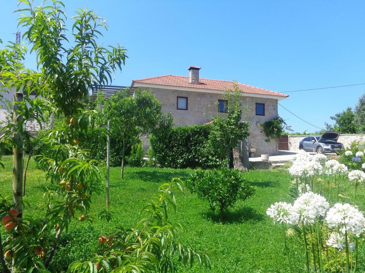 Bernardes House ξενώνας Castelo de Paiva Εξωτερικό φωτογραφία