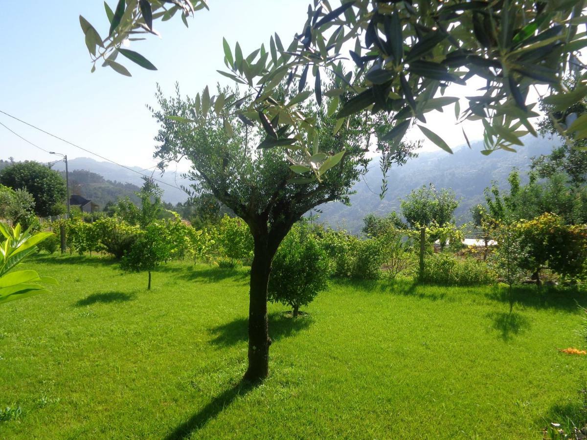 Bernardes House ξενώνας Castelo de Paiva Εξωτερικό φωτογραφία