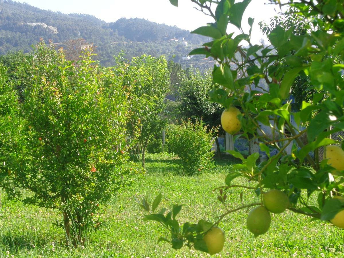 Bernardes House ξενώνας Castelo de Paiva Εξωτερικό φωτογραφία